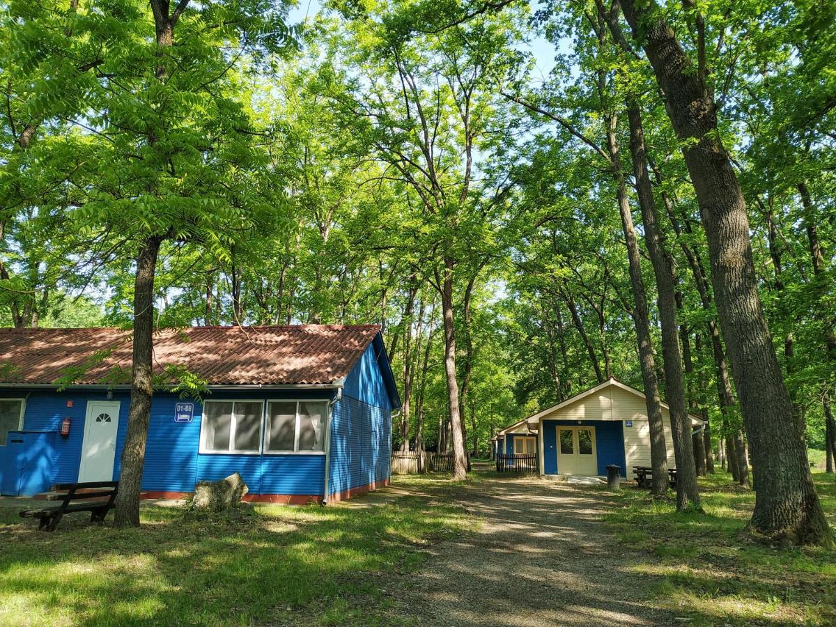 فندق ديبريتْسينفي  Dorcas Center&Camping المظهر الخارجي الصورة